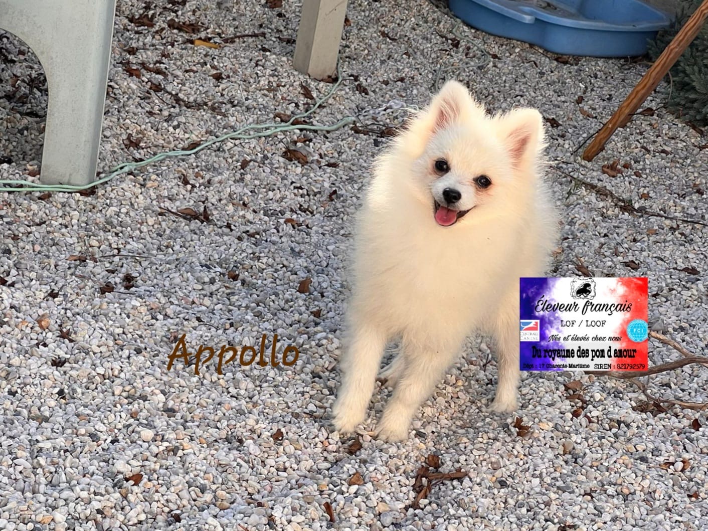 0fe9e336-78ef-47a2-97d4-a0ad4cd7e471