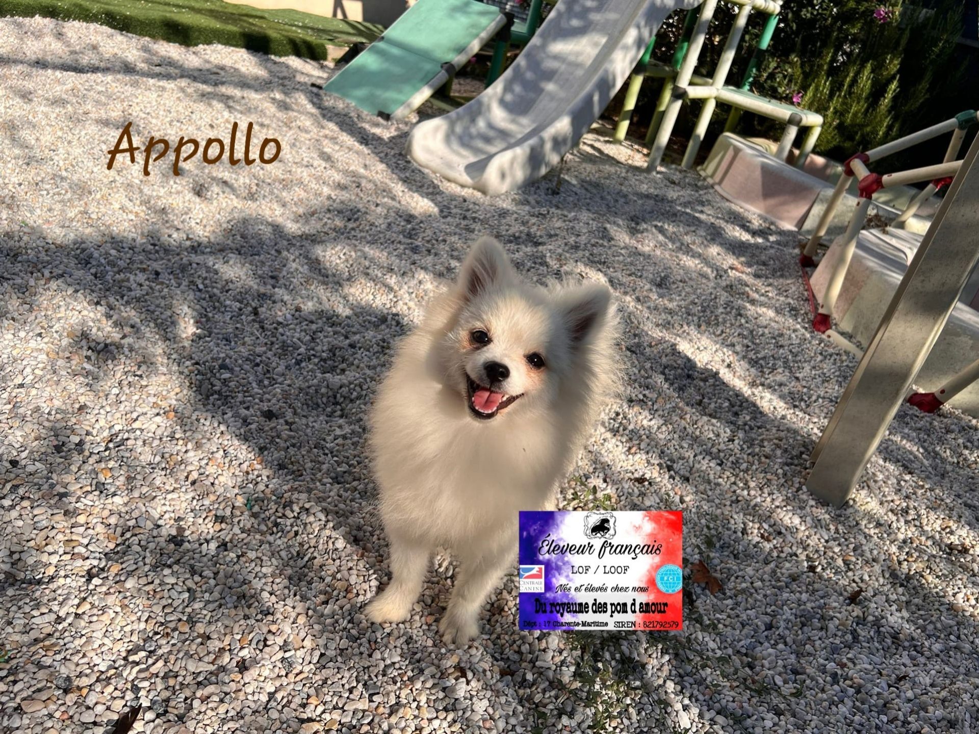 3ad8b512-a4be-4a09-8654-2a655fd65dcf