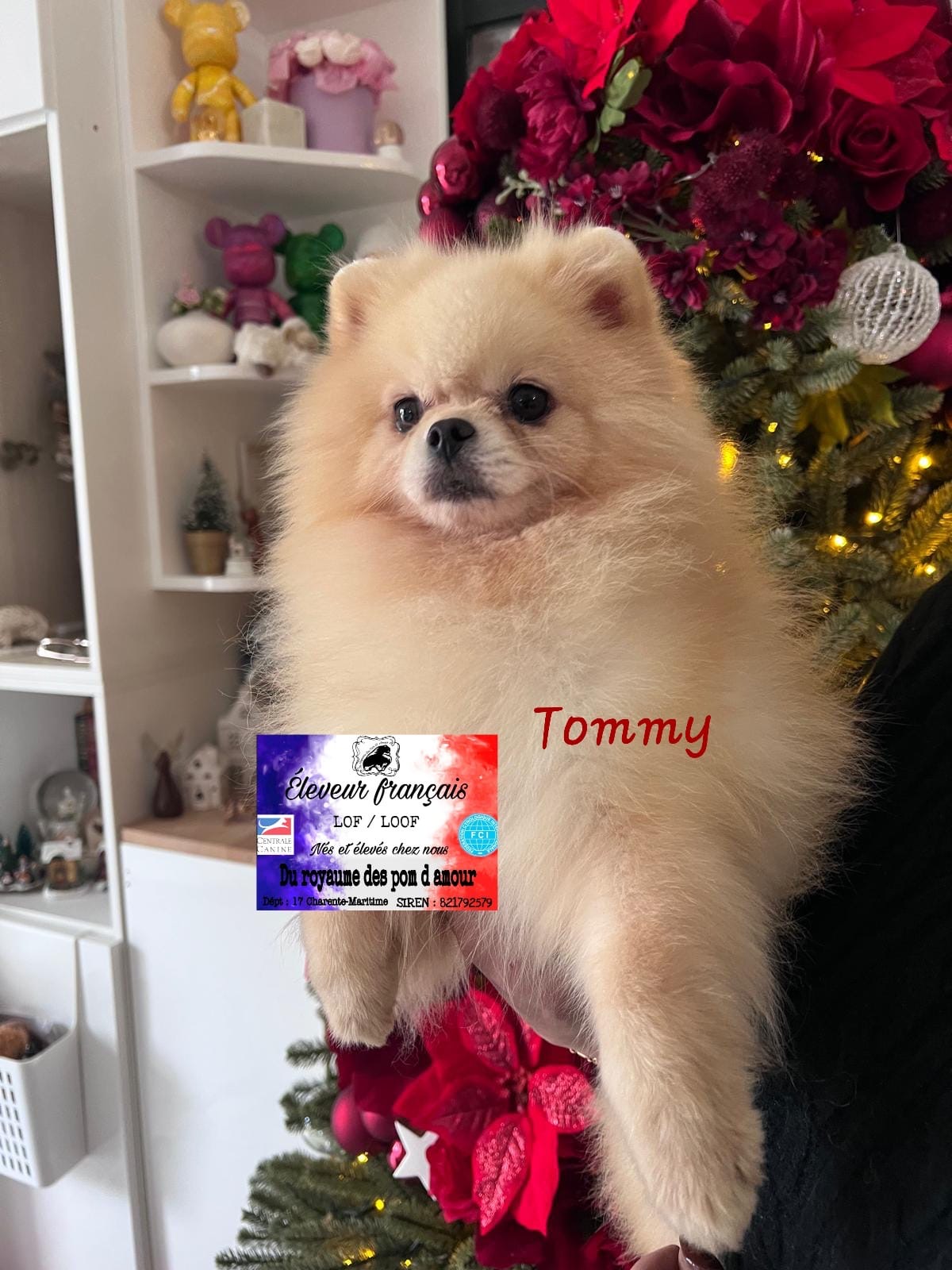 08c2ef6e-cb8b-4ce6-baec-201d516150ba