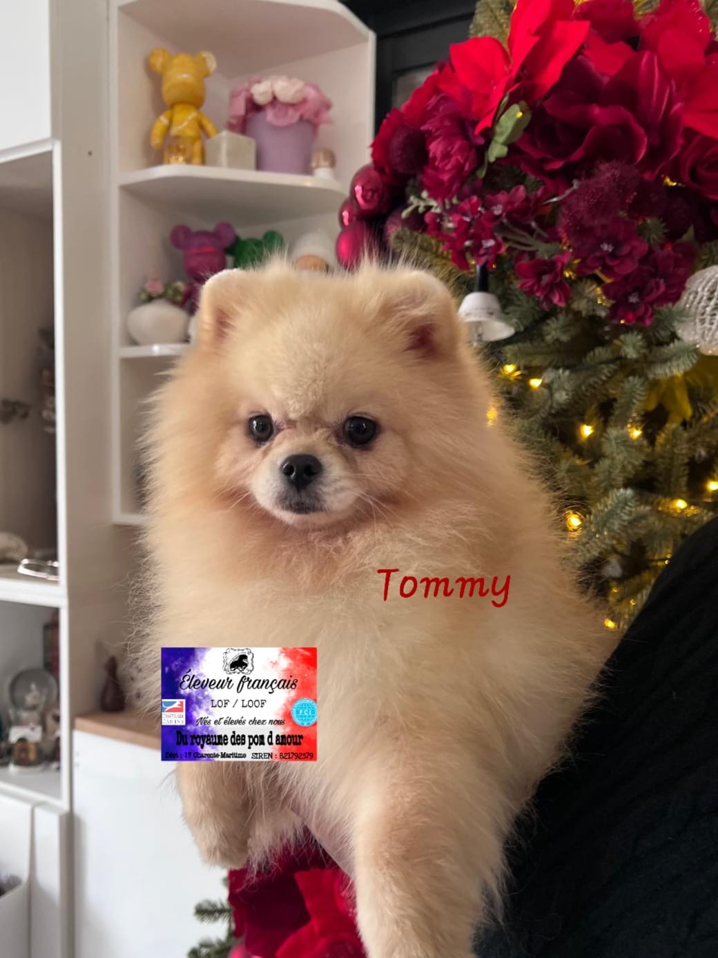 0a3eb11f-f297-422f-9092-58d5de5fa2a8