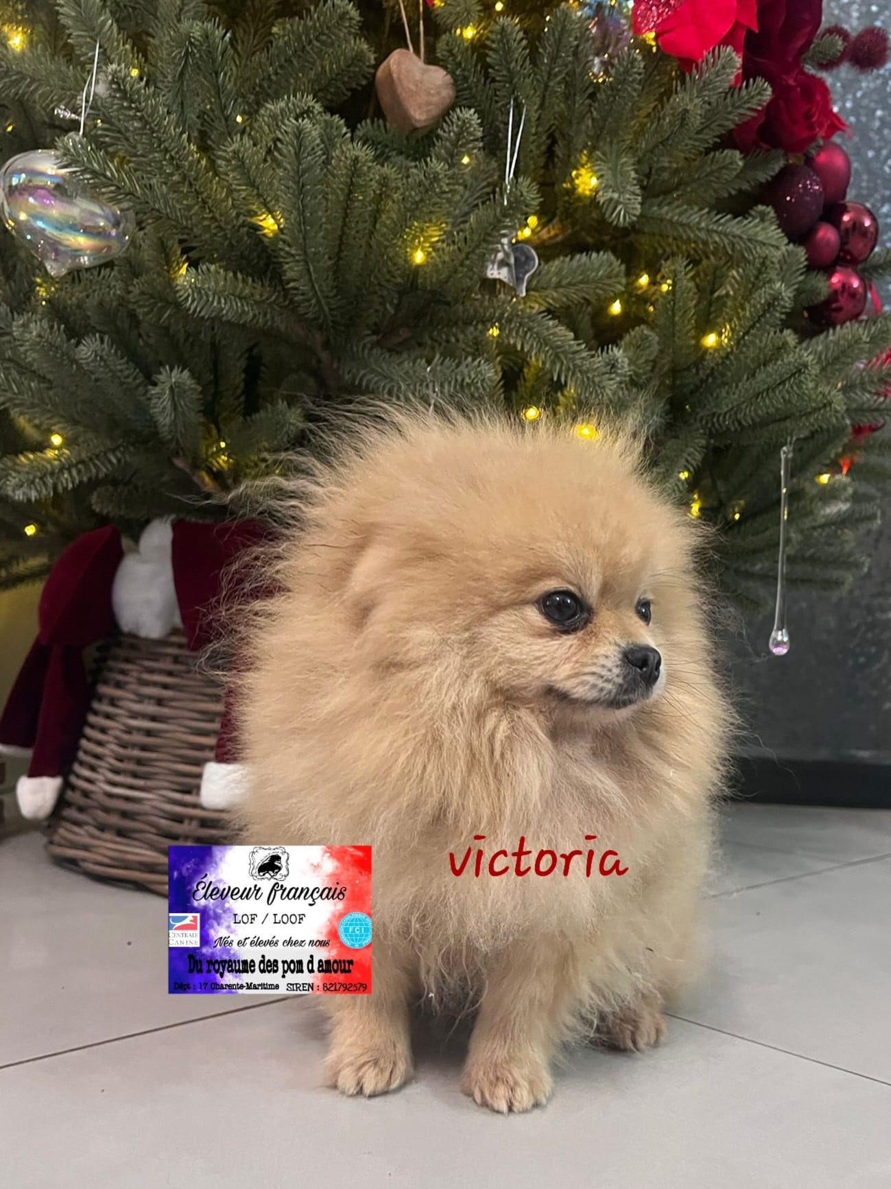 5663746a-786d-48e9-86c1-4b68e7427689