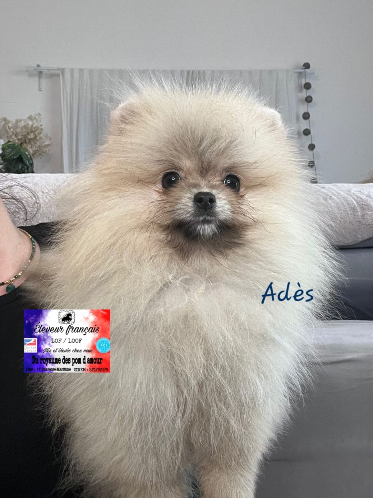 854495b6-b438-43bc-a26a-bb9814937b9e