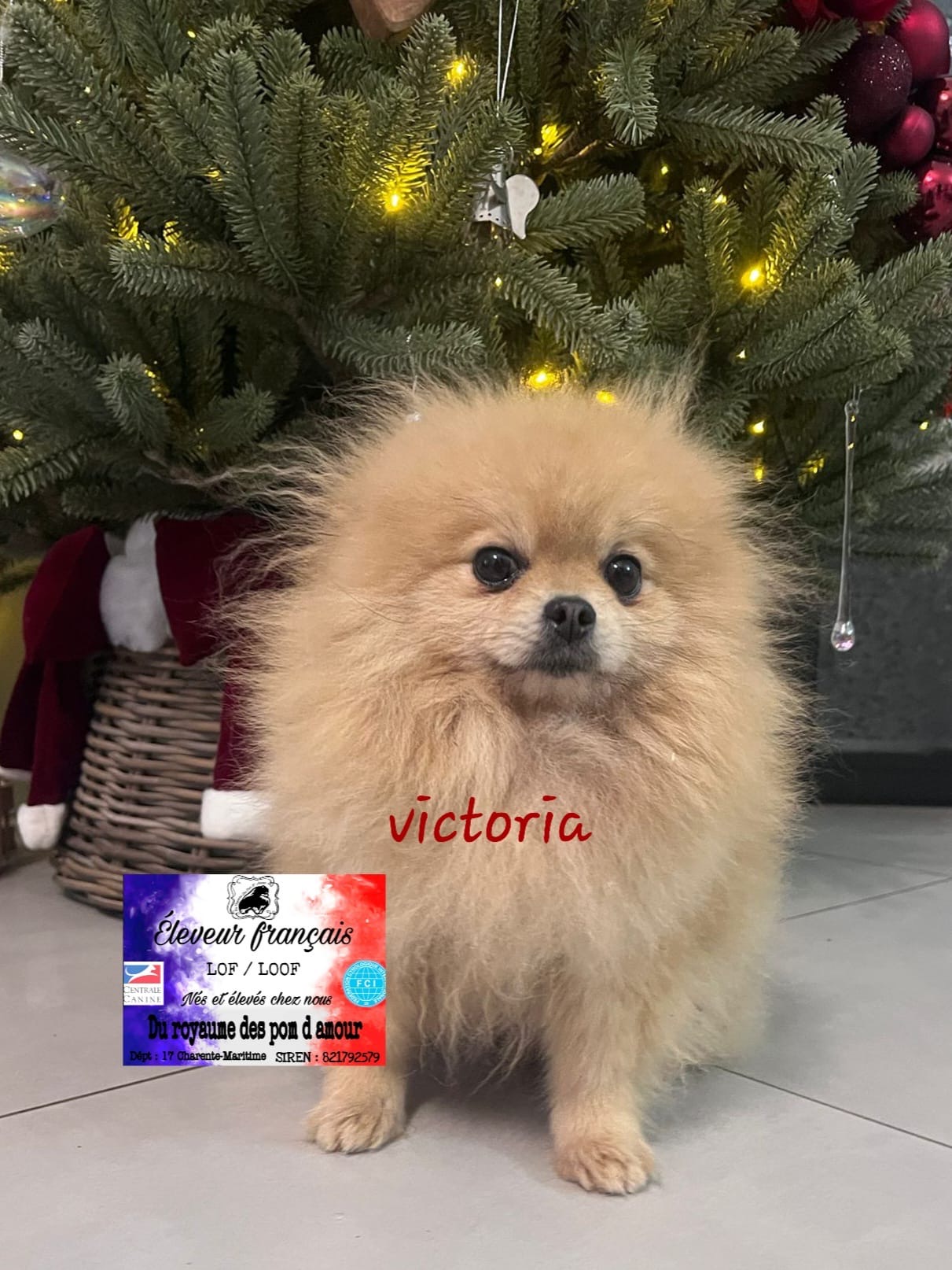 91b476b1-ce73-4d0b-ae19-f471e44e1020