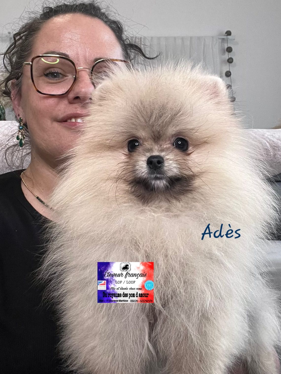 c6a16e6b-d31f-4a4e-91db-d3e01f86ef37