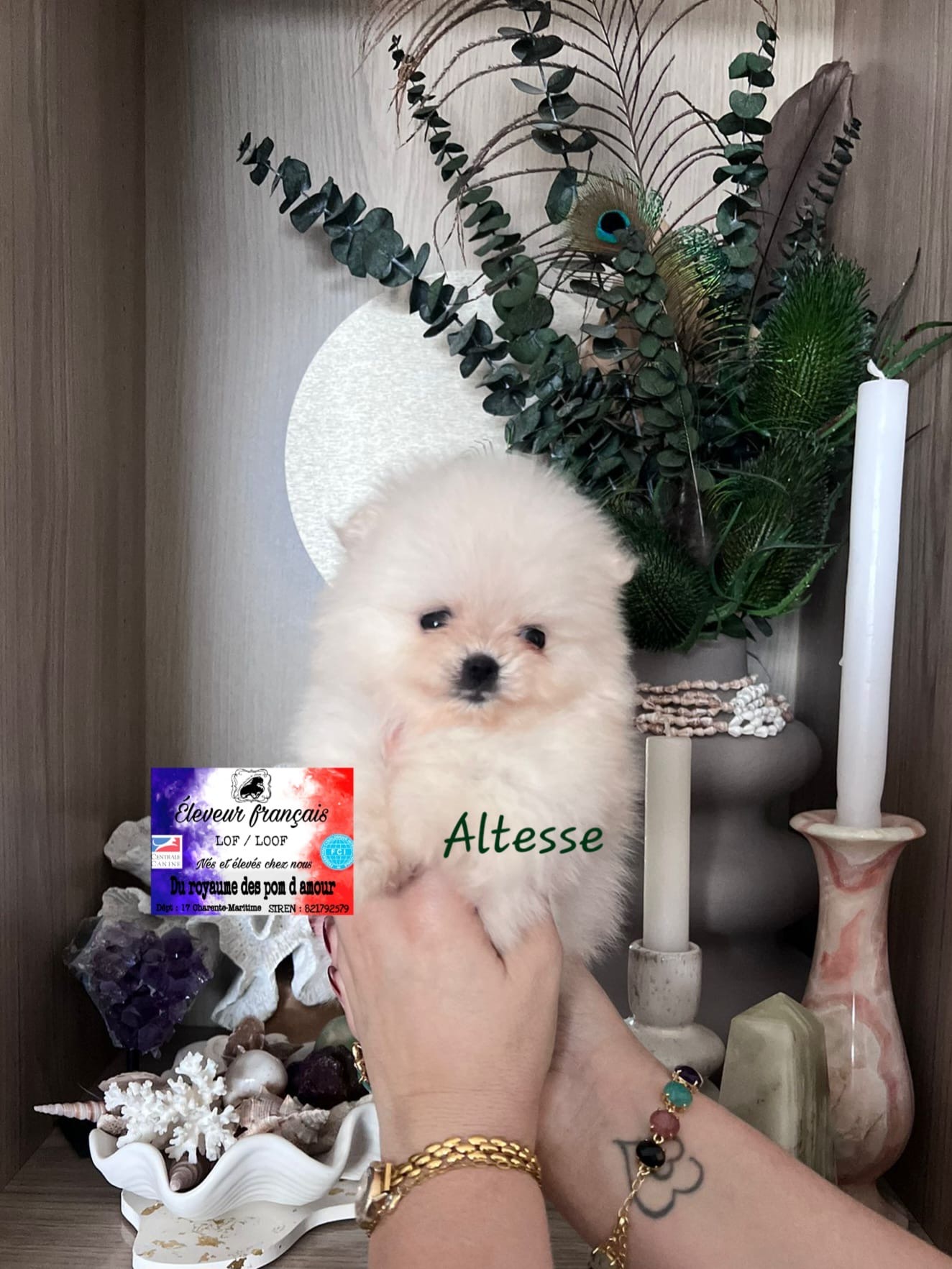 0631532f-cf64-4ddf-b98b-3b296affb546