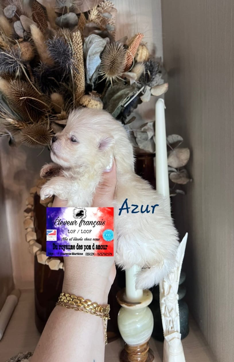 35179be1-256e-4ed7-92ca-97db4ab12967