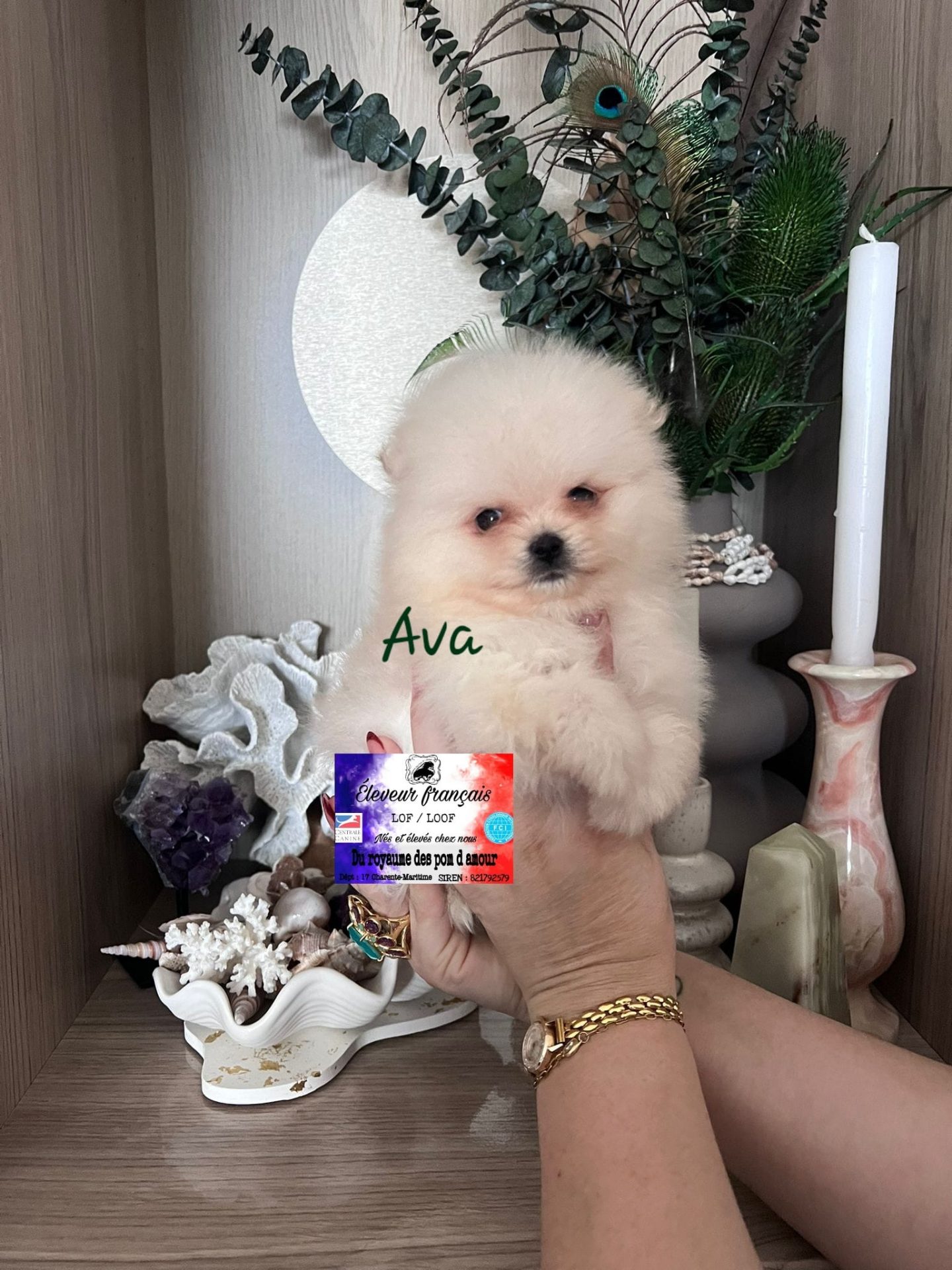 3aa32cb5-4ec2-48c8-b9a3-c92db950f945