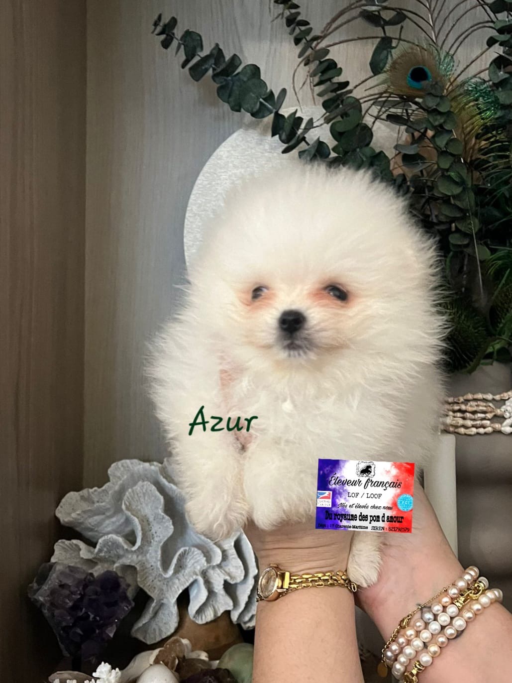 429b677f-29aa-49d1-9e65-e9568f8f7424