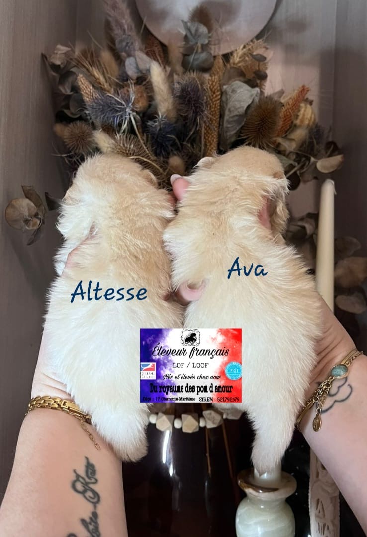 8afa58da-65fe-434d-ae64-a4c79667e54f