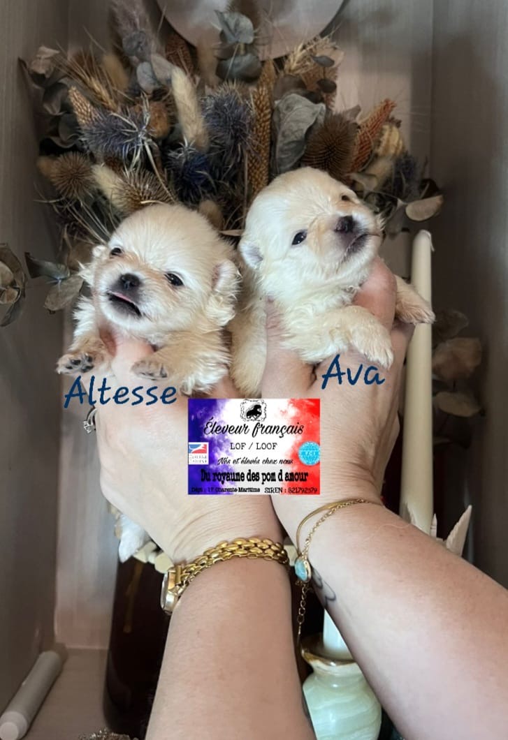 9deef25c-ef54-481a-9103-c8391880aaaa