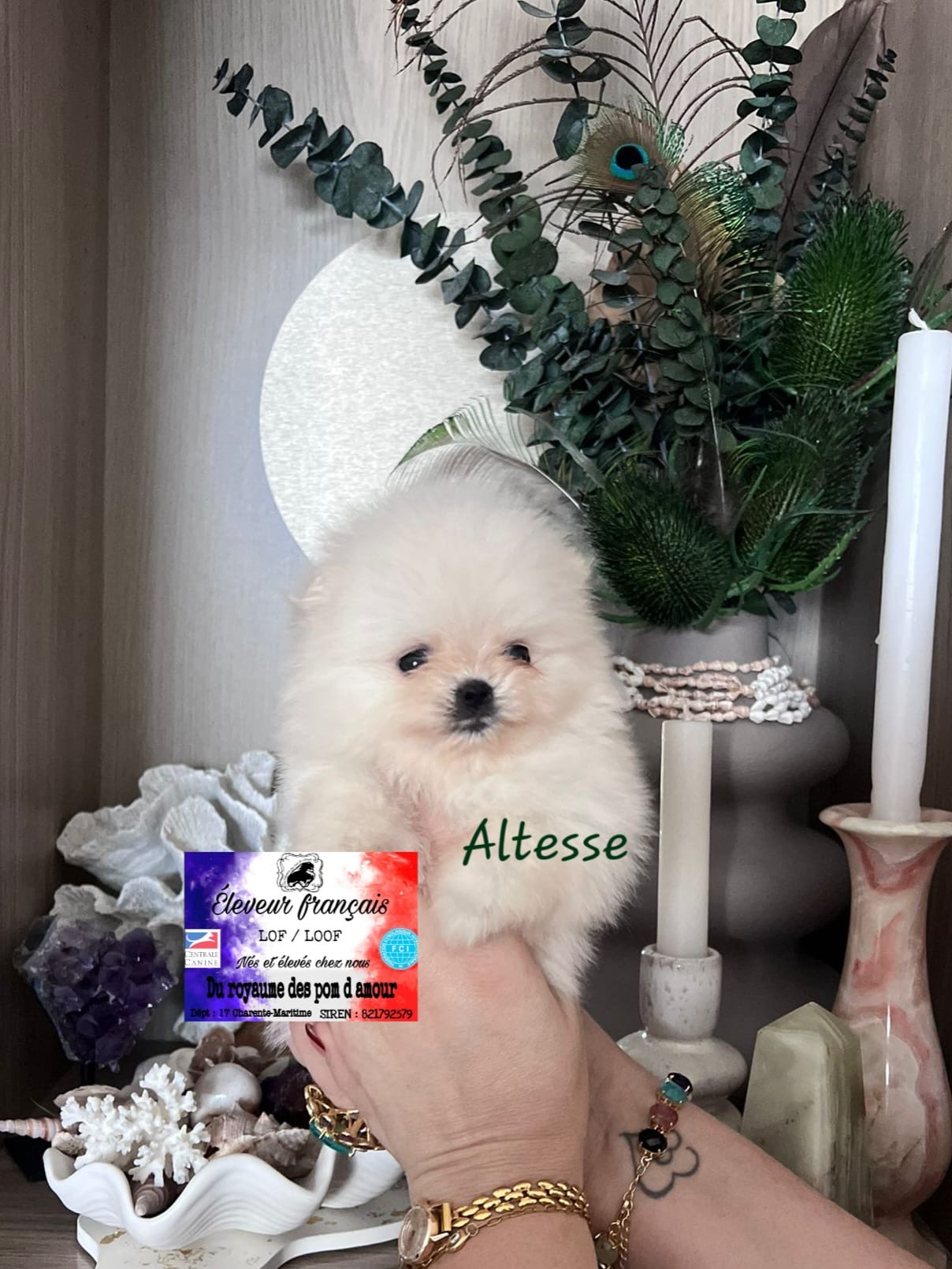 d82433d7-d6c9-430b-8c46-00701af00c18