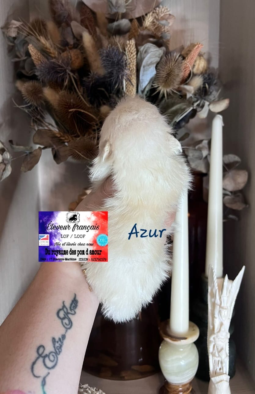 e3ad0547-f764-4cfb-a4ca-63420d2b0ded