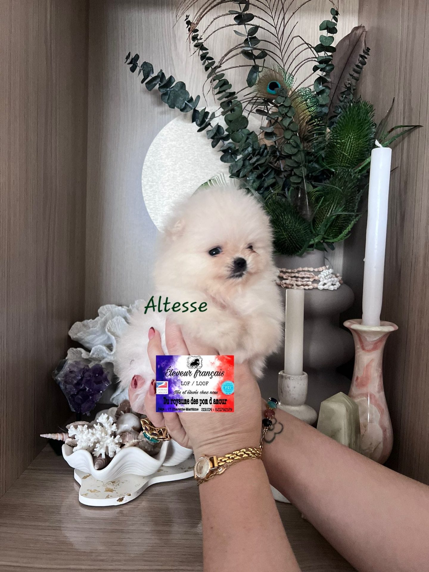 e598b111-8dae-4d62-9955-8651a93d3b93