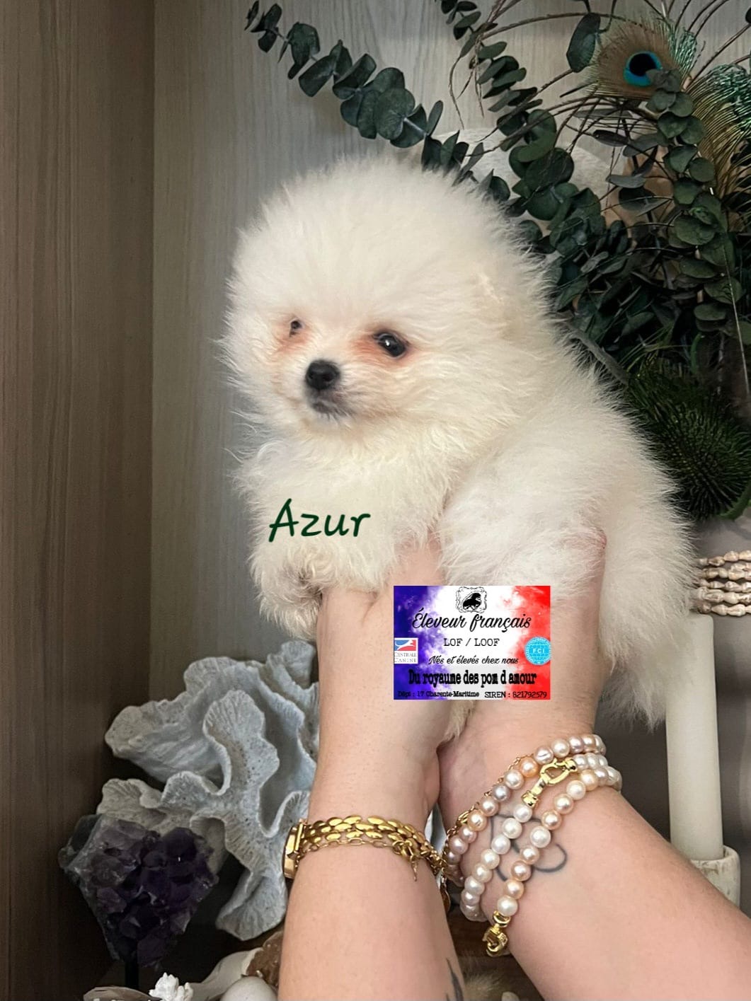 f4045cef-f754-49aa-9bf6-46ea8a967416